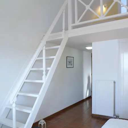 Solaris (adults Only)