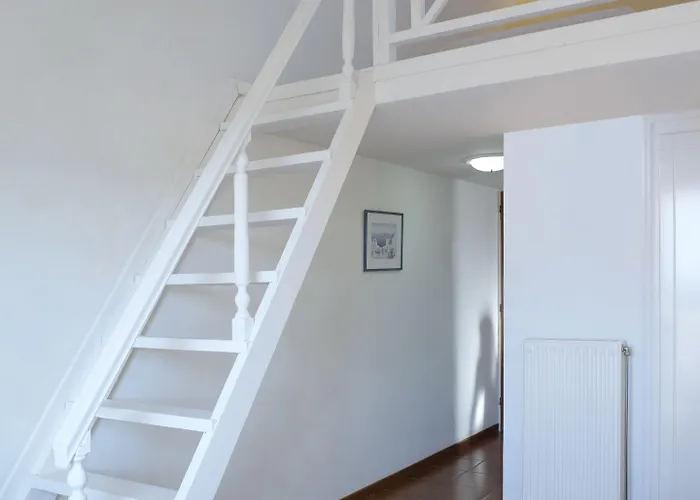 Solaris (adults Only)